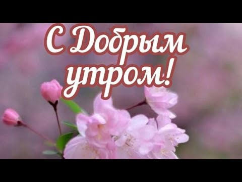 Доброе утро! Прекрасного начала дня! Очень красивая музыкальная открытка!