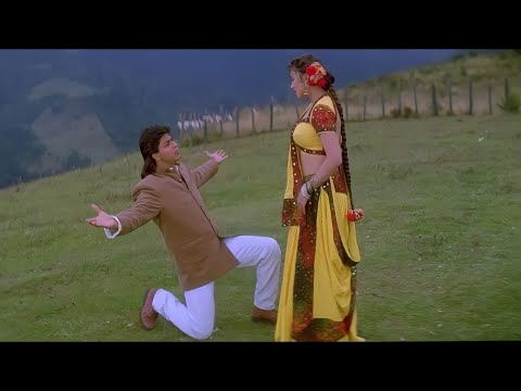 Dekha Tujhe Toh Hogayi Deewani | Shahrukh Khan | Madhuri Dixit | Kumar Sanu | Alka Yagnik | Koyla