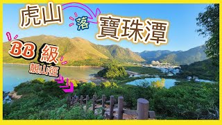 【BB👶級輕鬆遊] 2022上虎山「✌️不走回頭路」！！全新💥山徑木梯級走下山，望住超靚寶珠潭、金黃象山下山💯！！！