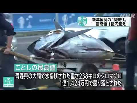 豊洲市場の初競り クロマグロが1億円超え 過去4番目の高さ