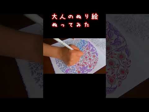 13色【大人のぬり絵】ぬってみた #shorts