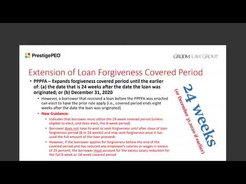 COVID 19 Webinar New “EZ” PPP Loan Explained