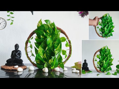 Recycle Plastic Bottle into Money Plant Decoration Ideas that purify the Indoor air//GREEN DECOR