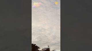 தேன் சிந்துதே வானம் #trending #ytshorts #goodmorning  #clouds @Lscooks