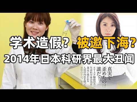 被邀請拍AV的「日本居里夫人」？日本科研界最大醜聞——STAP細胞的真相到底如何？【🐼熊貓周周】