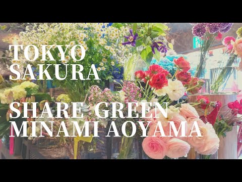 2021東京六本木の桜と南青山SHARE  GREEN