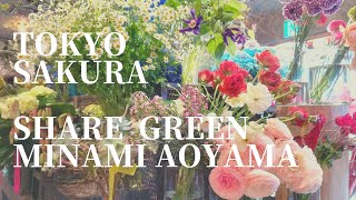 2021東京六本木の桜と南青山SHARE  GREEN