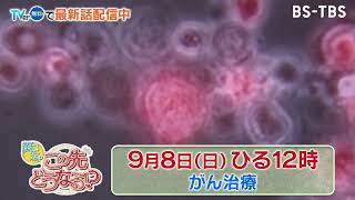 目まぐるしい発展。がんが撲滅する未来はくるのか…！？【関口宏のこの先どうなる！？】9/8(日)ひる12時