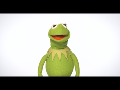 Happy New Year from Kermit the Frog! | The Muppets