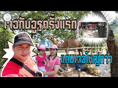 เที่ยวเพชรบุรี | คาเมล รีพลับบลิค​ (Camel​ Republic)​| food​ travel​ studio​ | EP.1