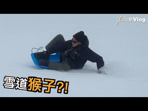 雪道猴子?!@YA叫獸Vlog