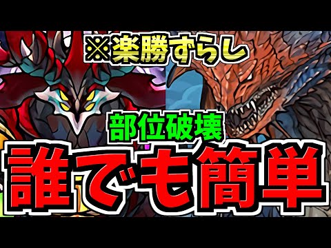 【誰でも簡単】ずらし爆速＆部位破壊！エニグマ降臨周回！ネロミェール編成！代用・立ち回り解説！【パズドラ】