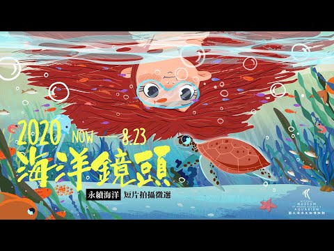 【2020海洋鏡頭短片徵選】永續海洋