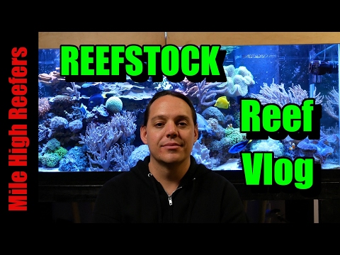 REEFSTOCK X and Missing Water Changes (Reef Vlog)