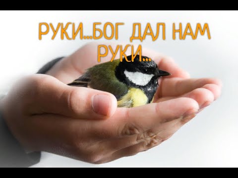 Руки... Бог дал нам руки