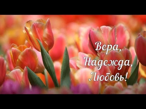 С Днем Веры, Надежды, Любви! День Веры, Надежды, Любви и матери их Софии! Пожелания Ангел Праздник