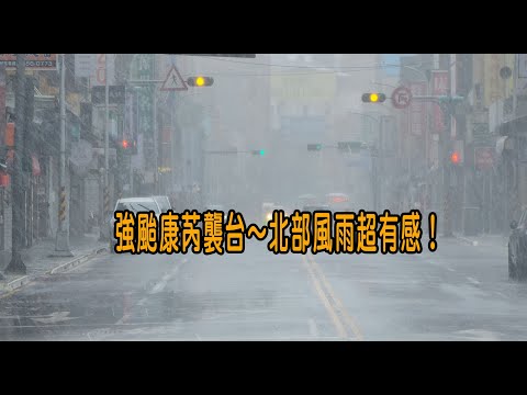 強颱康芮襲台～北部風雨超有感！颱風過後到處都是樹木斷枝