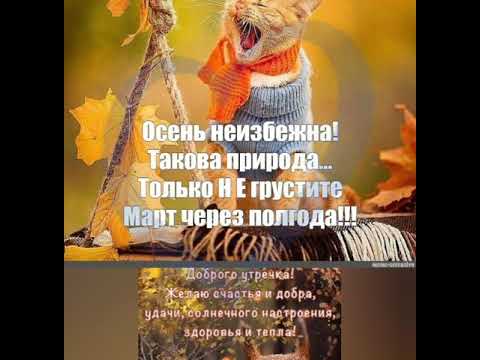 🐰 Осень неизбежна, такова природа... Только не грустите- март через пол года!