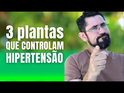 HIPERTENSÃO: 3 Plantas Naturais Poderosas para controlar a pressão