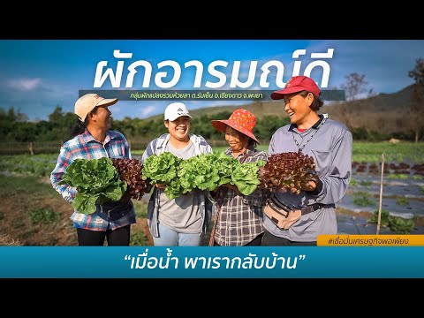 #เชื่อมั่นเศรษฐกิจพอเพียง ปีที่ 4 ตอน "ผักอารมณ์ดี" กลุ่มผักแปลงรวมห้วยสา จ.พะเยา