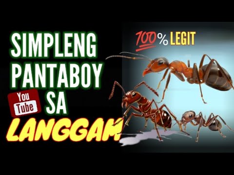 Simpleng pantaboy sa LANGGAM or How to remove the ANTS.