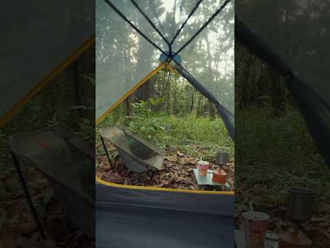 breakfast in the forest #camping #asmr #campinglife