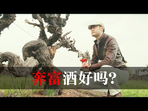 Penfolds Wine Tour 深度了解奔富：一起去澳洲酒庄发现奔富的奥妙