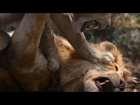 Nala Finds Simba Scene | THE LION KING | Movie Scene (2019)