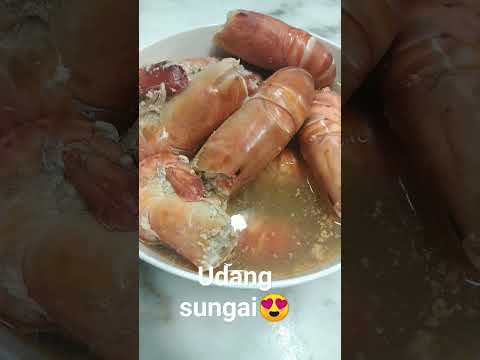 udang sungai😍