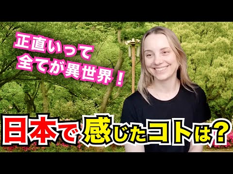 【過去回】「信じられない…正直全てが異世界よ！」外国人観光客にインタビュー｜ようこそ日本へ！Welcome to Japan!