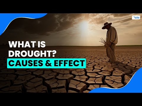 What is Drought? | Causes & Effects of Drought | Letstute