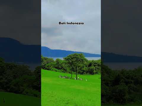 Beautiful 😍 place on earth Indonesia Bali #shortvideo #please #natural