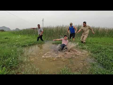 Giant Fish And Big Snake Struggling In The Mud