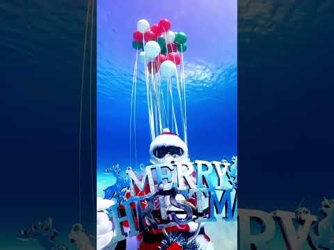 Underwater Christmas 🎄 #freediving #okinawa #diving #balloons #santaclaus