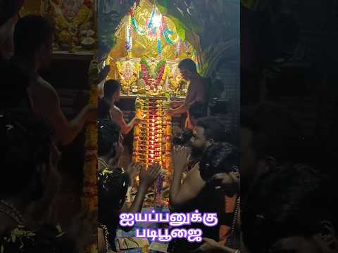 அமலாவின் கணவர் சின்ன கொழுந்தனார் 18 படி பூஜை