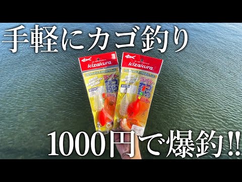 たった1000円で規格外の青物が連発！初心者用ライトカゴ釣り仕掛けの本気がやばすぎました…