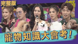 【完整版】你了解家中的毛小孩嗎？寵物知識大會考｜2022.06.16@我愛小明星大跟班