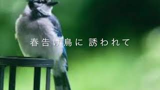 「夢の花」　歌：増田空人（ますだあきひと）