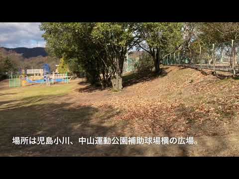 公園内の灯り要望