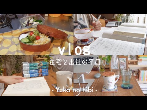 [vlog] フラ語勉強から始まる在宅と出社のエンジニアの平日🇫🇷 / ６時起き / ハリポタ全巻揃った📚 / 時短料理で生き抜く / 新しいMacBook