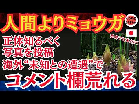 【衝撃】日本だけ！？アメリカ人女性が日本で購入したミョウガをSNSでUPで話題沸騰！海外「日本でも見た事ないぞ…」 日本人だけが食べる謎の食材が話題に！！