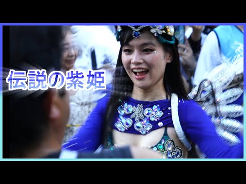 4K 美人大学生 伝説の紫娘 サンバカーニバル ウニアンメンバー 平間銀座サマーフェスタ 2023 Japanese Samba street festival