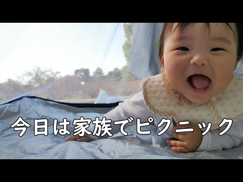 ピクニックを楽しむ0歳児【242Days】