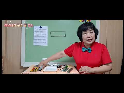 하모니카 세척 구조 (하모니카 속은 어떻게 생겼을까요)