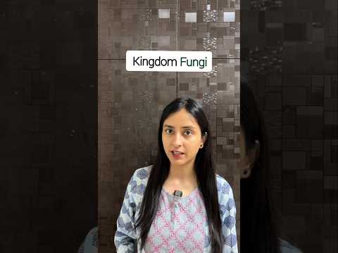 Classification of Fungi | Phycomycetes #shorts #ytshorts #biology #neet #class11