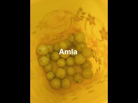 #amla #vitaminc #hairgrowth #immunity #eyes #diabetes #healthy#heart  #healthylifestyle 👍