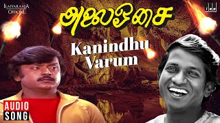 Kanindhu Varum Song | Alai Osai | Ilaiyaraaja | Vijayakanth | Nalini | S Janaki | Tamil Songs