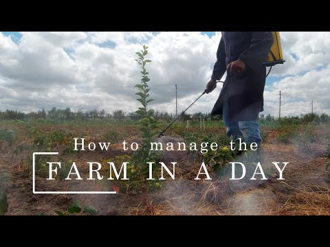 How to manage the Farm in a Day. A Beginner's Guide #farming