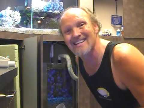 The Dog Leg Fish Tank, LA Fishguys, Episode 62