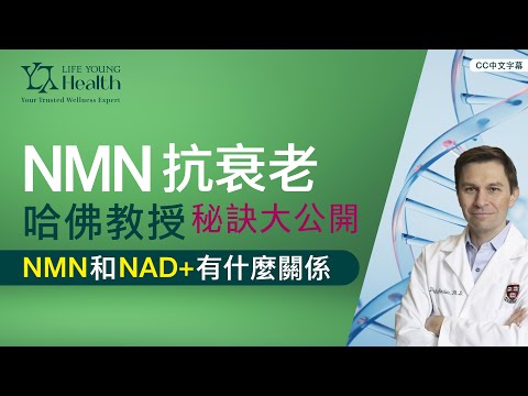 NMN 為什麼可以抗衰老｜NMN和NAD+有什麼關係｜NMN 的原理是什麼｜哈佛教授抗衰老秘訣大公開｜廣東話｜CC中文字幕 ｜LIPOSOMAL NMN